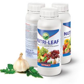 datis nutri leaf garlic and pepper