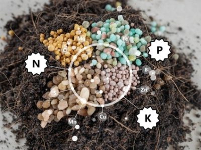 npk-fertiliser-ratios-explained-500x318-61d45888ec8d8_n